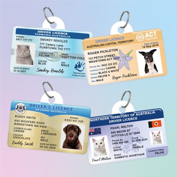 Custom Australian Driver Licence Pet ID Tag - Image 4