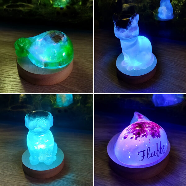 Cordless LED Light Wooden Display Stand