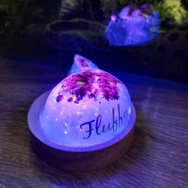 Cordless LED Light Wooden Display Stand