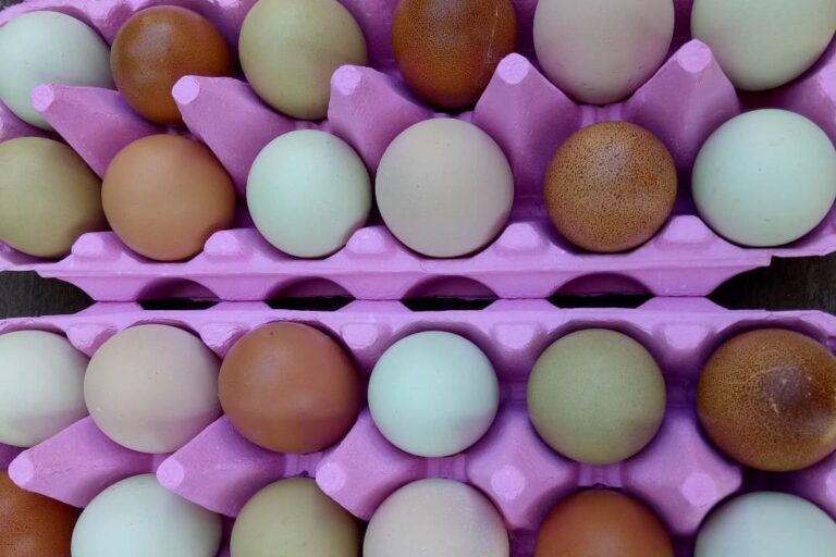 A colourful egg basket