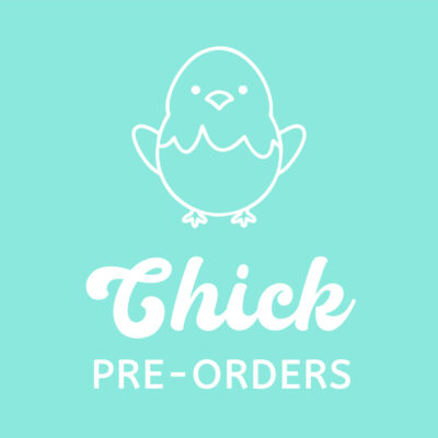 Chick Pre-Order