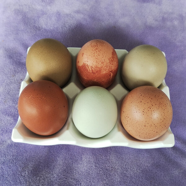 Handmade Eco Resin Egg Holder (6 Egg Capacity) - Image 12