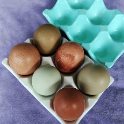 Handmade Eco Resin Egg Holder (6 Egg Capacity)