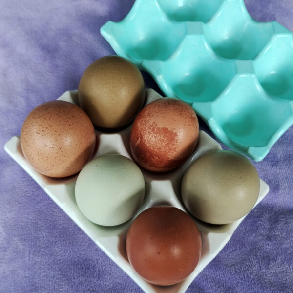 Handmade Eco Resin Egg Holder (6 Egg Capacity)