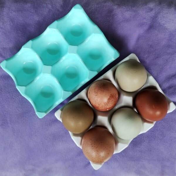 Handmade Eco Resin Egg Holder (6 Egg Capacity) - Image 10