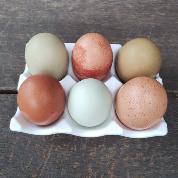 Handmade Eco Resin Egg Holder (6 Egg Capacity) - Image 7