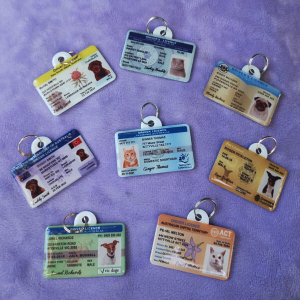 Custom Australian Driver Licence Pet ID Tag - Image 2