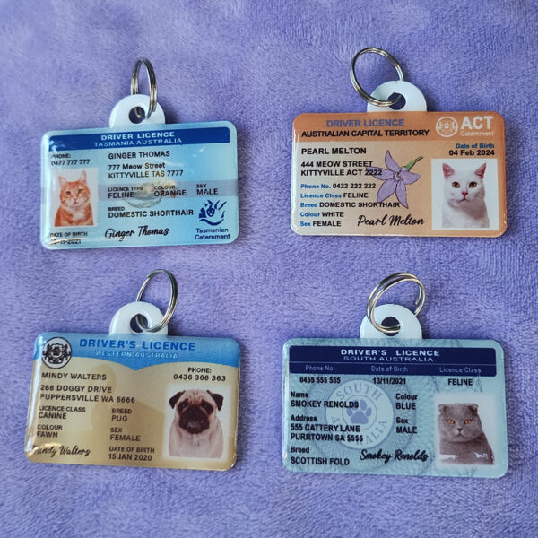Custom Australian Driver Licence Pet ID Tag - Image 9