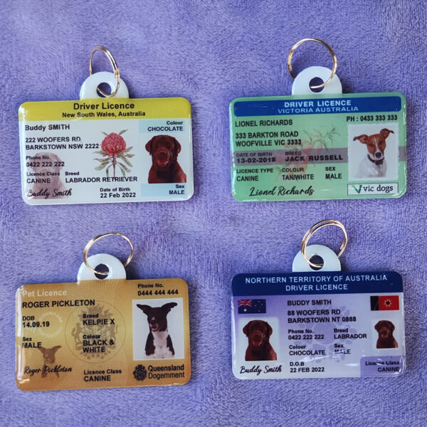 Custom Australian Driver Licence Pet ID Tag - Image 7