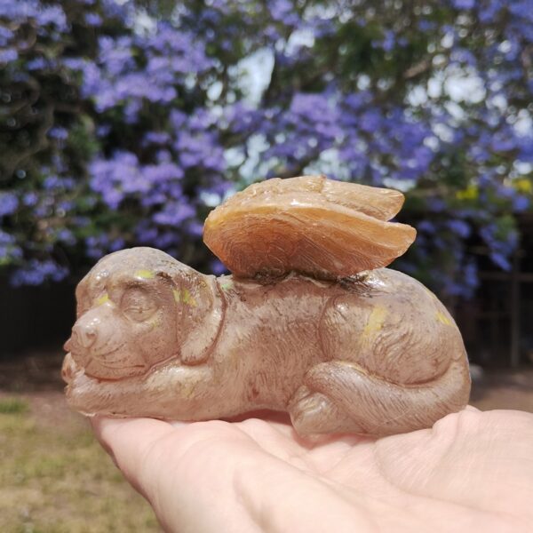 IMG_20251113_120228112