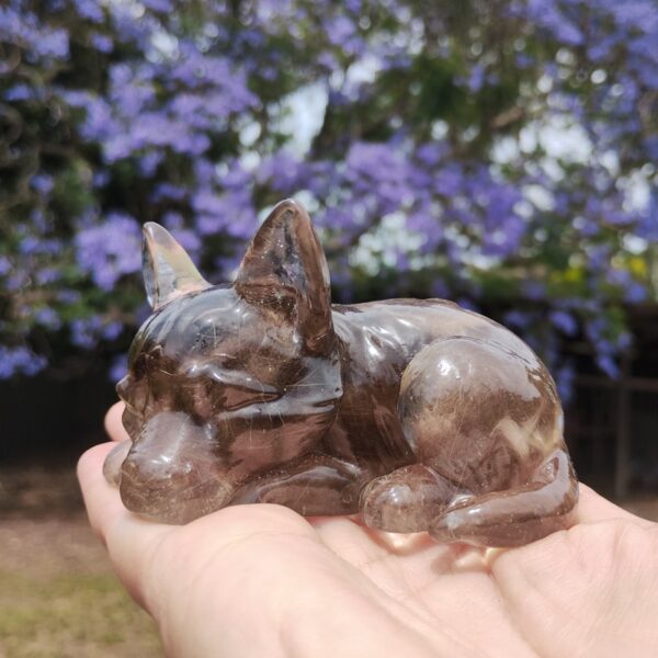 IMG_20251113_120251449