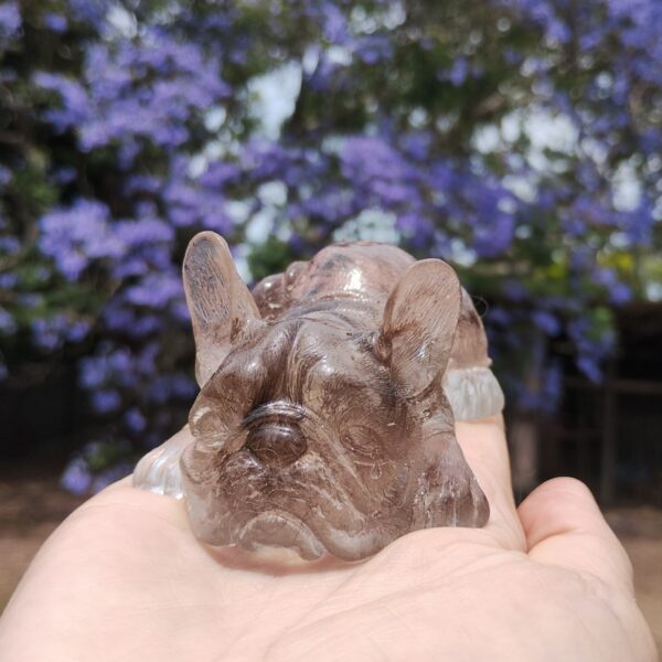 IMG_20251113_120451905