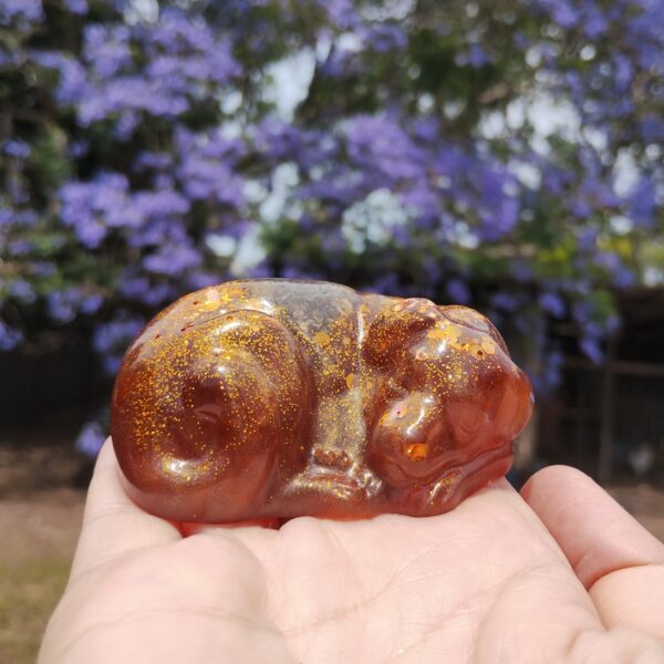 IMG_20251113_120741238