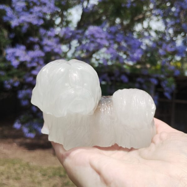 IMG_20251113_121038796