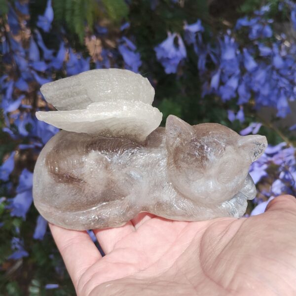 IMG_20251113_121304127