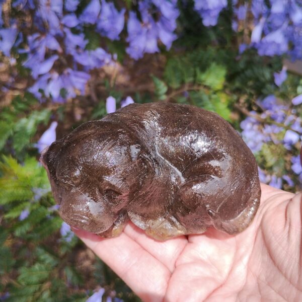 IMG_20251113_121753313_HDR