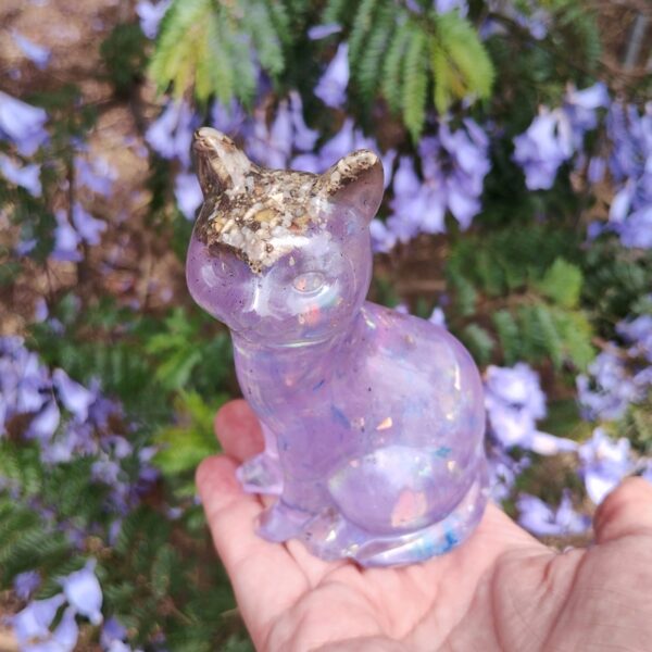 IMG_20251113_122015777_HDR