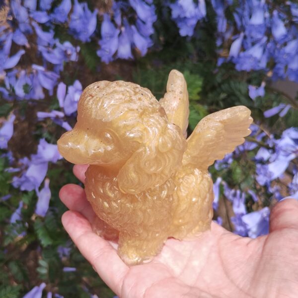 IMG_20251113_122005959