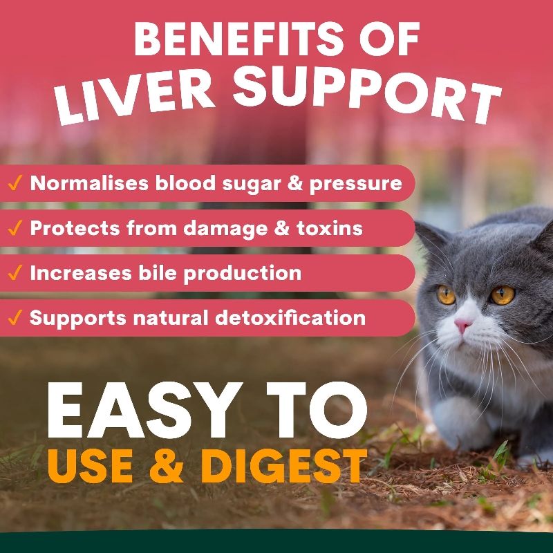 PetzPark – Liver Support For Cats - Image 2