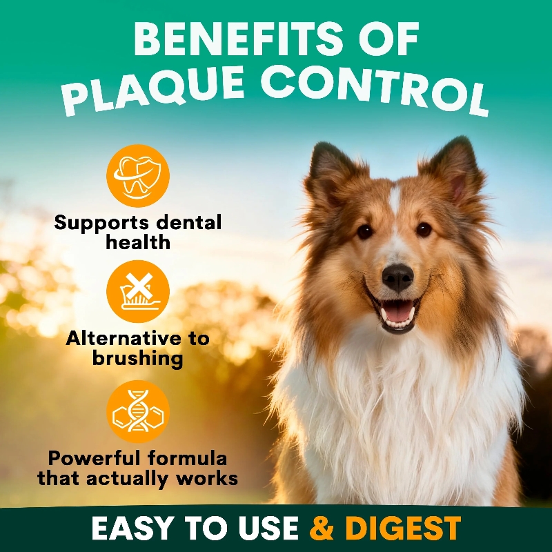 PetzPark – Plaque Control For Dogs - Image 2