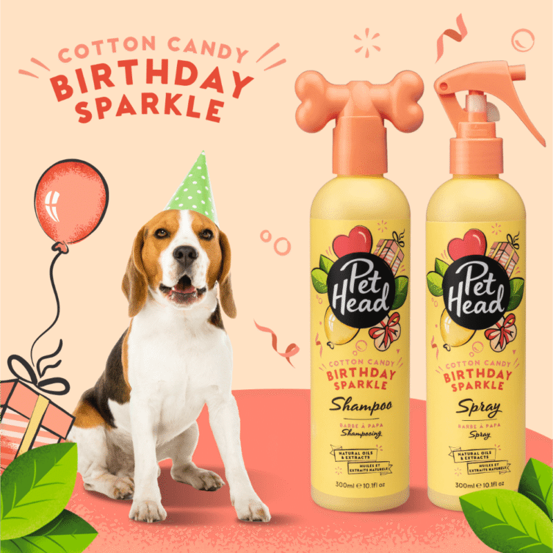 Pet Head – Birthday Sparkle – Shampoo - Image 3