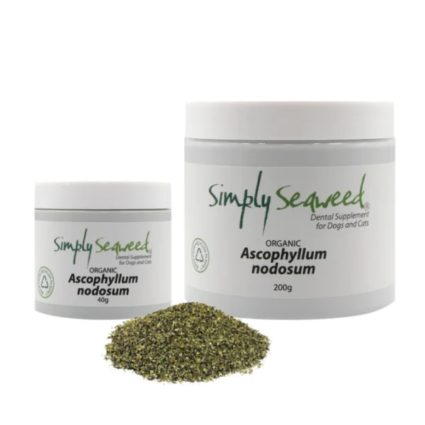 Simply Seaweed - Dental Supplement