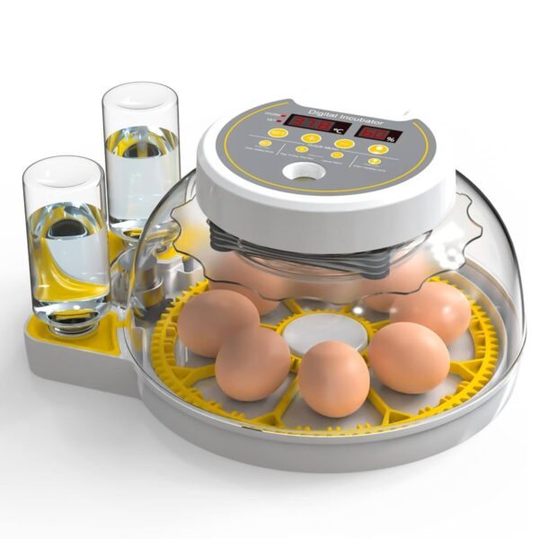 Automatic 8 Egg Incubator - Dual Power System, Humidity Control