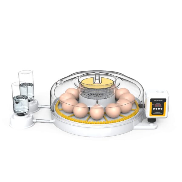 Automatic 12 Egg Incubator - Dual Power System, Humidity Control