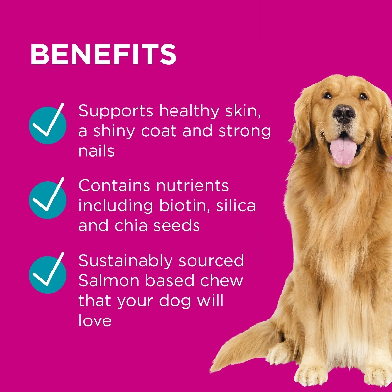 Paw by Blackmores – Coat, Skin & Nails Chews - Image 4