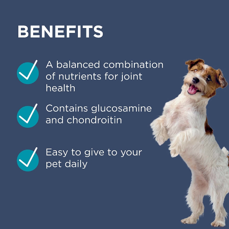 Paw by Blackmores – OsteoCare Joint Protect Chews - Image 10