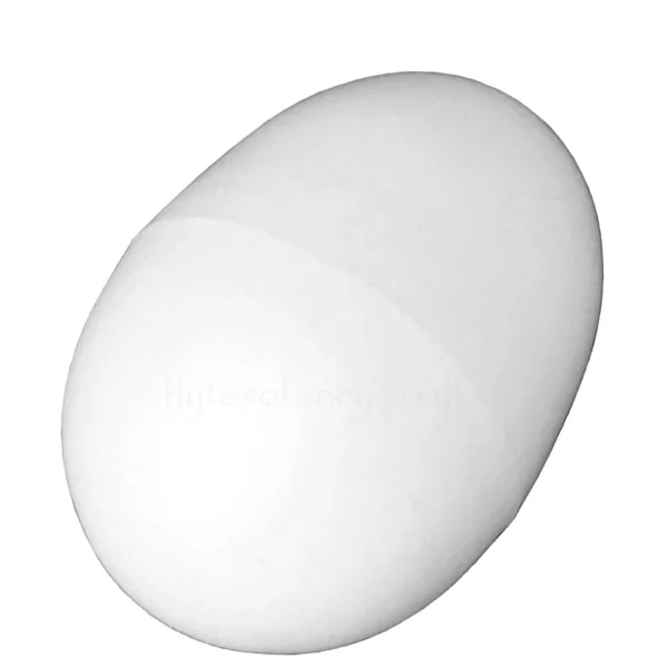 Plastic-Dummy-Eggs-1pc-1000