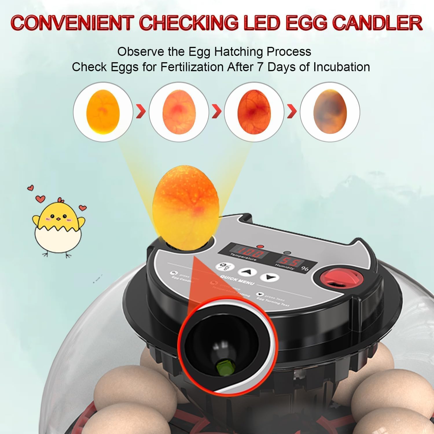 Automatic 12 Egg Incubator - Auto Water System, Humidity Control & Egg Candler - Image 5