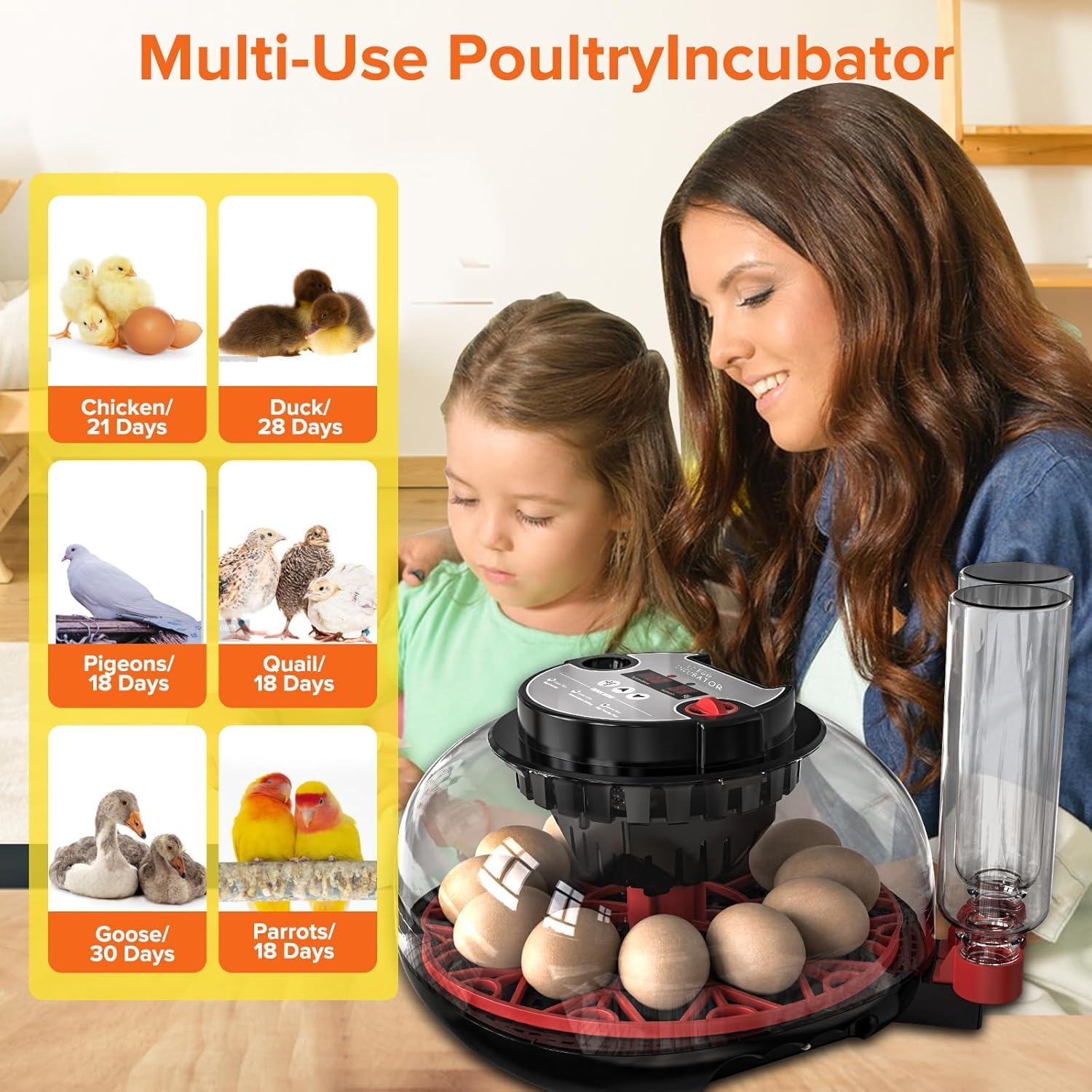 Automatic 12 Egg Incubator - Auto Water System, Humidity Control & Egg Candler - Image 10