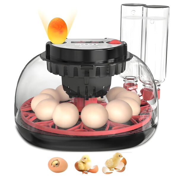Automatic 12 Egg Incubator - Auto Water System, Humidity Control & Egg Candler