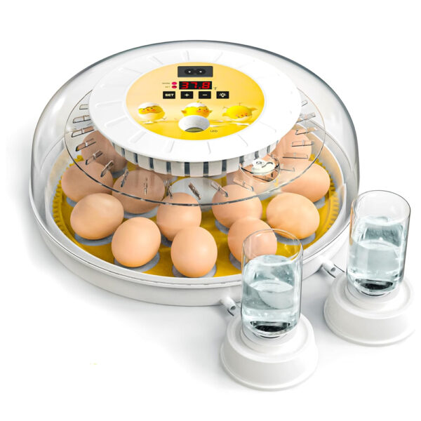 Automatic 18 Egg Incubator - Auto Water System, Humidity Control & Egg Candler
