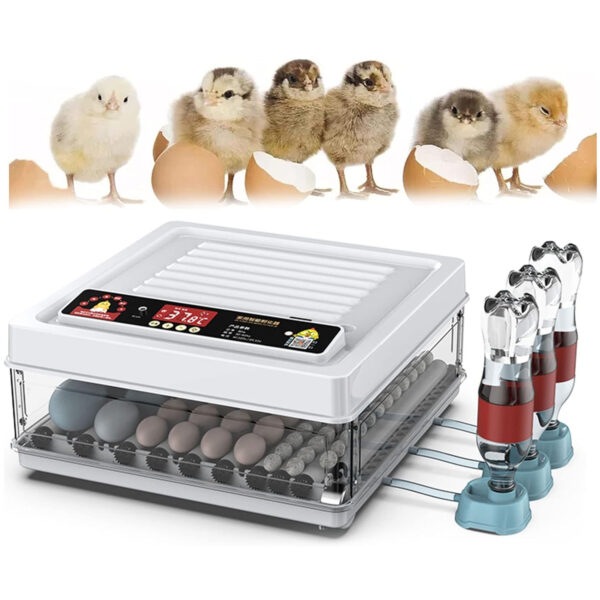 Automatic 70 Egg Incubator - Auto Water System, Humidity Control & Egg Candler