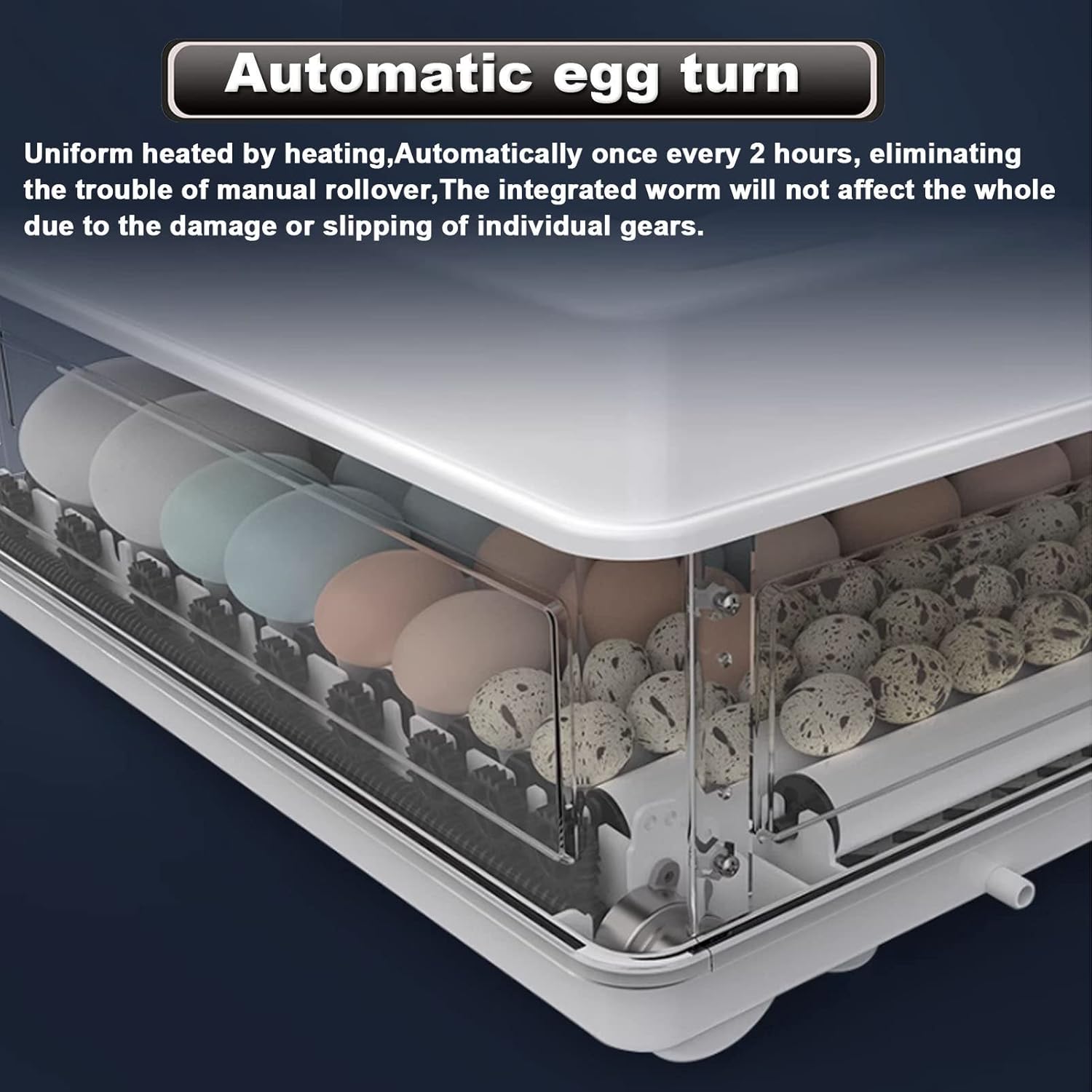 Automatic 70 Egg Incubator - Auto Water System, Humidity Control & Egg Candler - Image 5