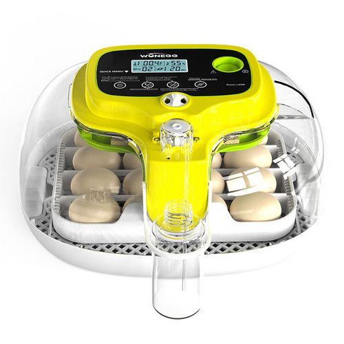 Automatic Egg Incubator 16-30 Eggs