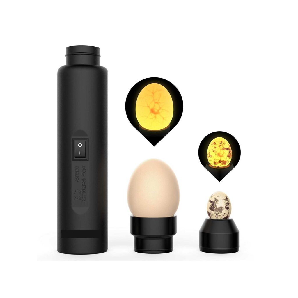 LED Egg Candler Lamp