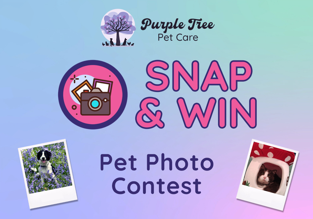 Snap & Win Pet Photo Contest