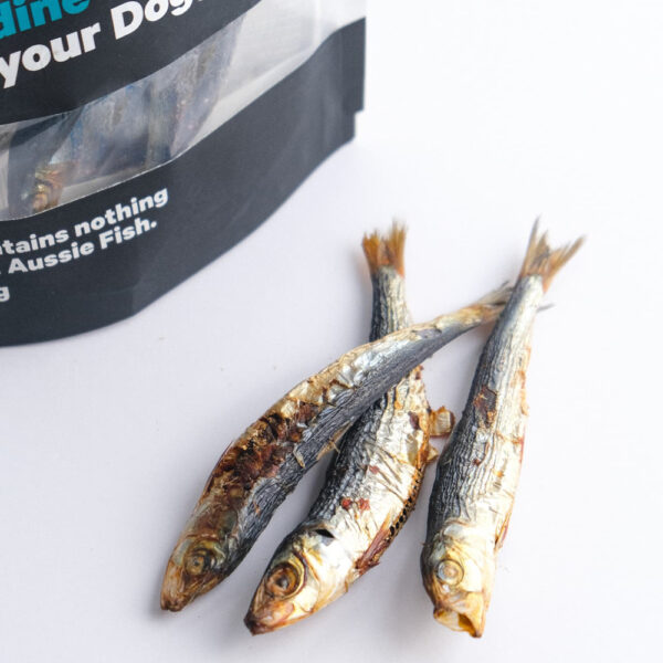 B2B-Sardine-Treats-02