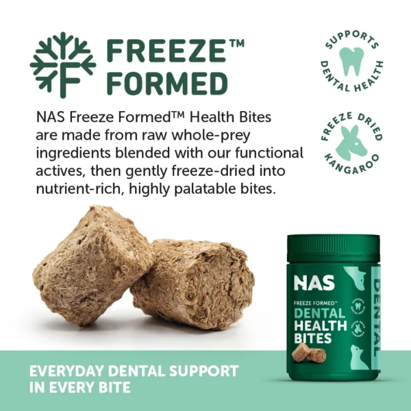 NAS-DentalHealthBites-04