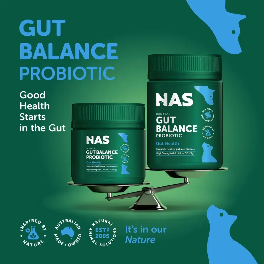 Natural Animal Solutions – Gut Balance Probiotic - Natural™ - Image 5