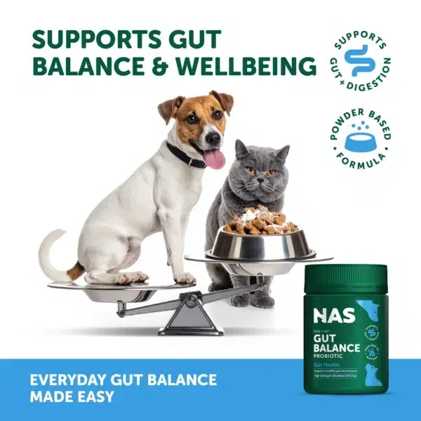 NAS-Gut-Balance-05