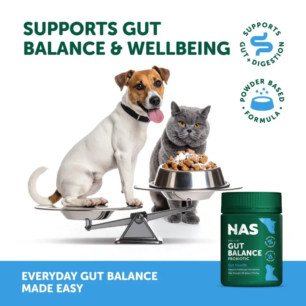 Natural Animal Solutions – Gut Balance Probiotic - Natural™ - Image 2