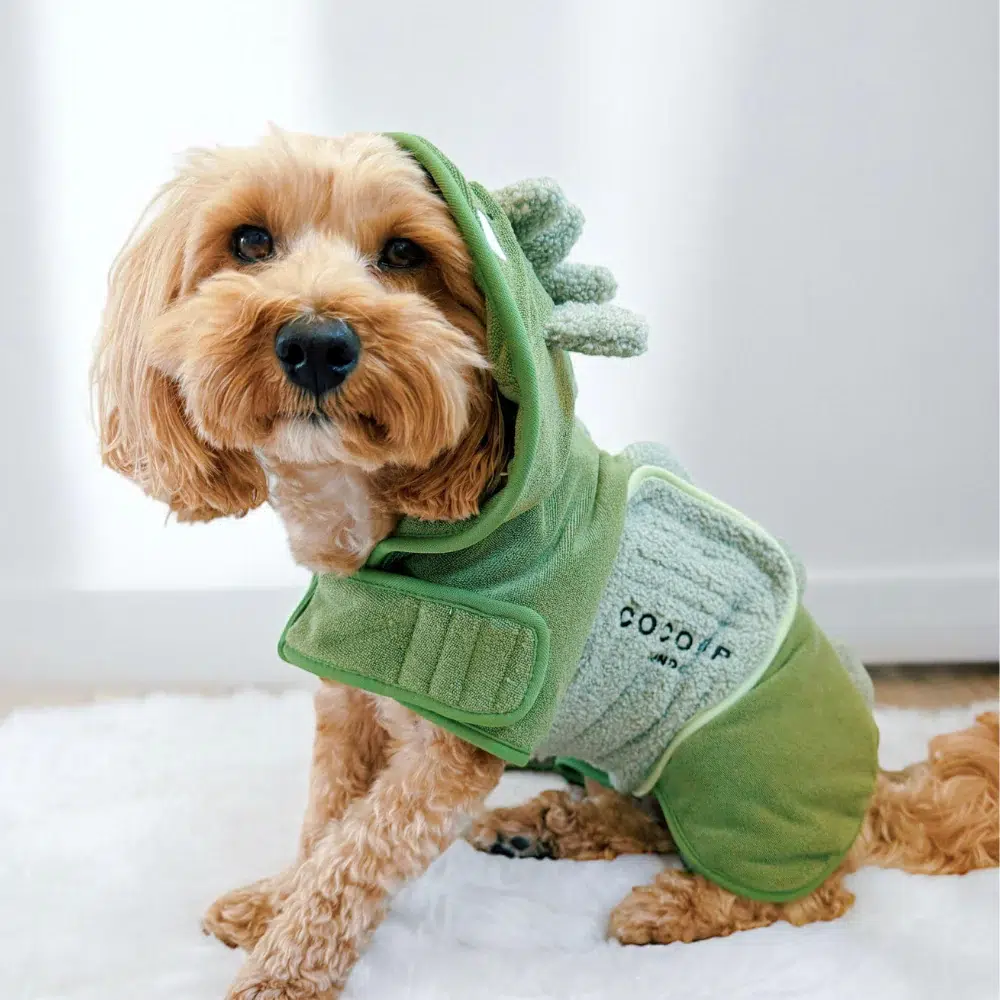 Cocopup London – Dinopup Drying Robe - Image 6